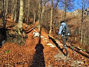 13 Salendo la stradetta agrosilvopastorale  colorata d'autunno